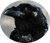 PallasRaven