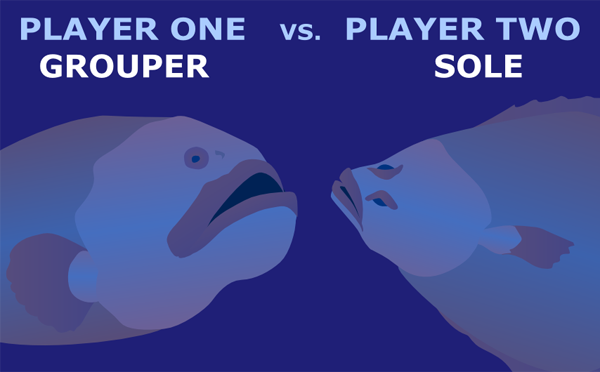 MMO: Spectrum Of Design - Part 2 Fishing For Grouper Or Sole?