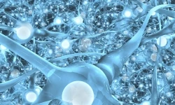 Reinforcement Learning for Games