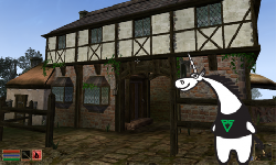 Not All is Fine in the Morrowind Universe