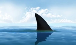 Wade Not In Unknown Waters: Part Two