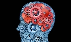 Intrinsic and Extrinsic Motivation