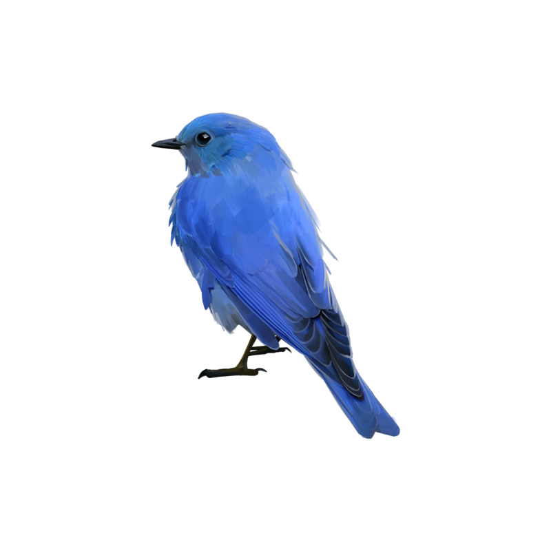 Bluebird.png