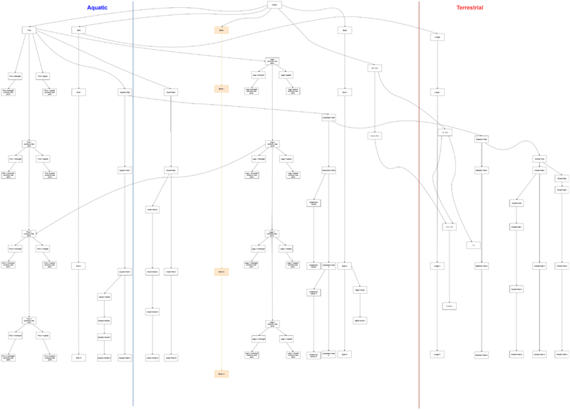 Introduction - Organ Tree