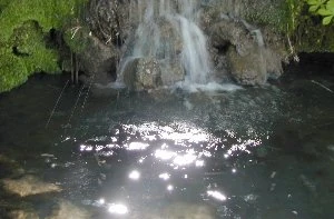 Realistic Natural Effect Rendering: Water I