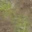Texture Splatting in Direct3D
