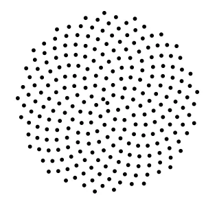 Figure 4: Vogel Disk