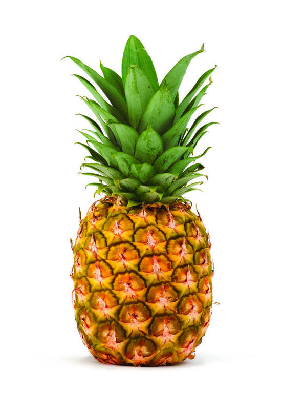 pineapple-05.thumb.jpg.ff1198488fc5091bf5432959ef1a8c16.jpg