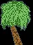 palm tree2.png