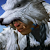 Ubivam's avatar
