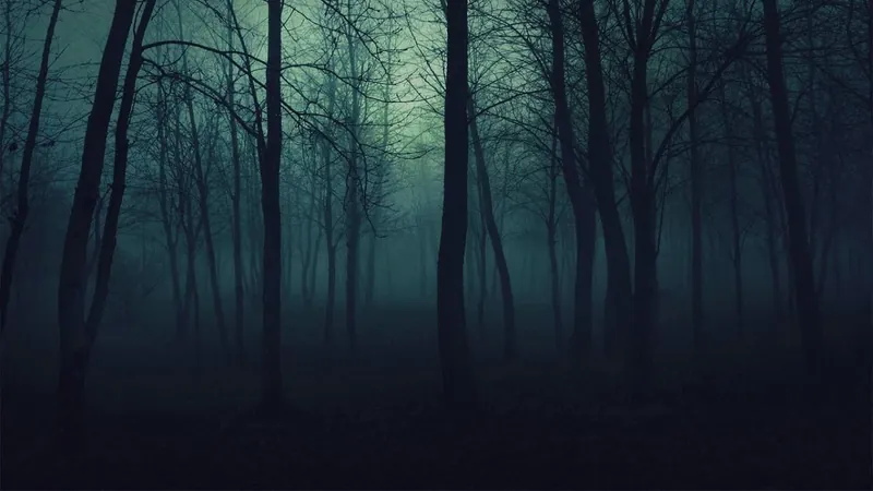 Haunted Forest Sound Design !!!