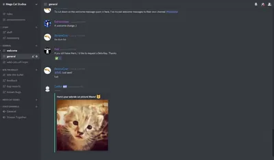Building a Discord