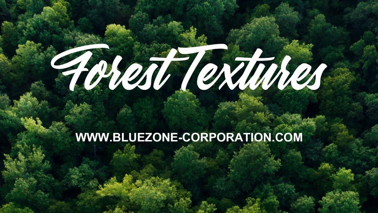 Forest Textures released at Bluezone Corporation